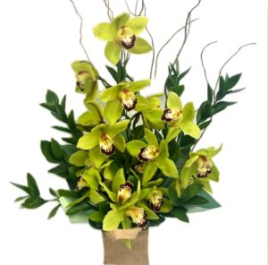 Orchids Kete Arrangement Gift