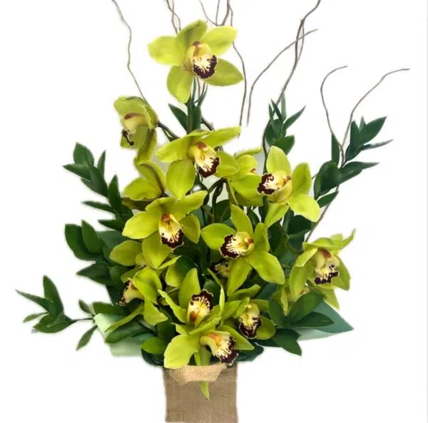 Orchids Kete Arrangement Gift