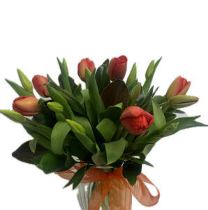 Tulips Vase Bouquets
