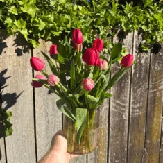 Pinky Tulips Vase Bouquet