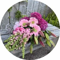 Powder Puff Pinks