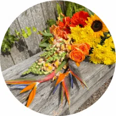 insta fascebook website post size -15