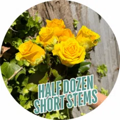 HALF DOZEN SHORT ROSES