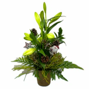 Christmas lillies Floral Arrangement