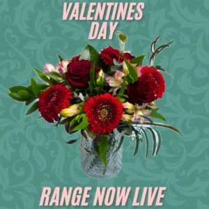 V Day Range