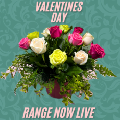 Valentine's Day Flowers