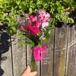 Pink Roses in Bud Vase - Image 2