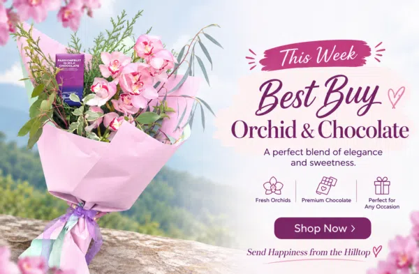 Single Giftwrap Orchid - Image 4