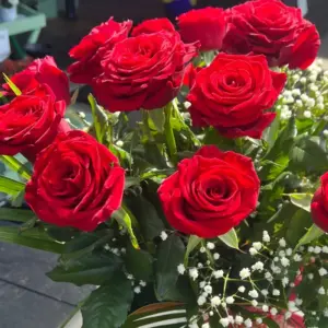Red Roses