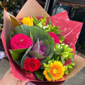 Under 79.00 - Front Page