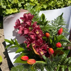 Burst of Spring Colour