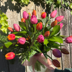 Tulips Floral Bouquet