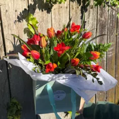 Spring Delight Tulips & Freesia Posy