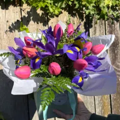 Iris & Tulip Posie Best Buy
