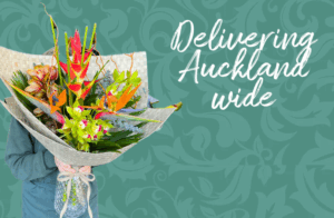 Delivery Auckland wide