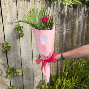 Single Giftwrap Pink Rose