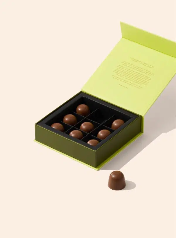 9 Crispy Salted Caramel Praline in Milk Chocolate - Image 1