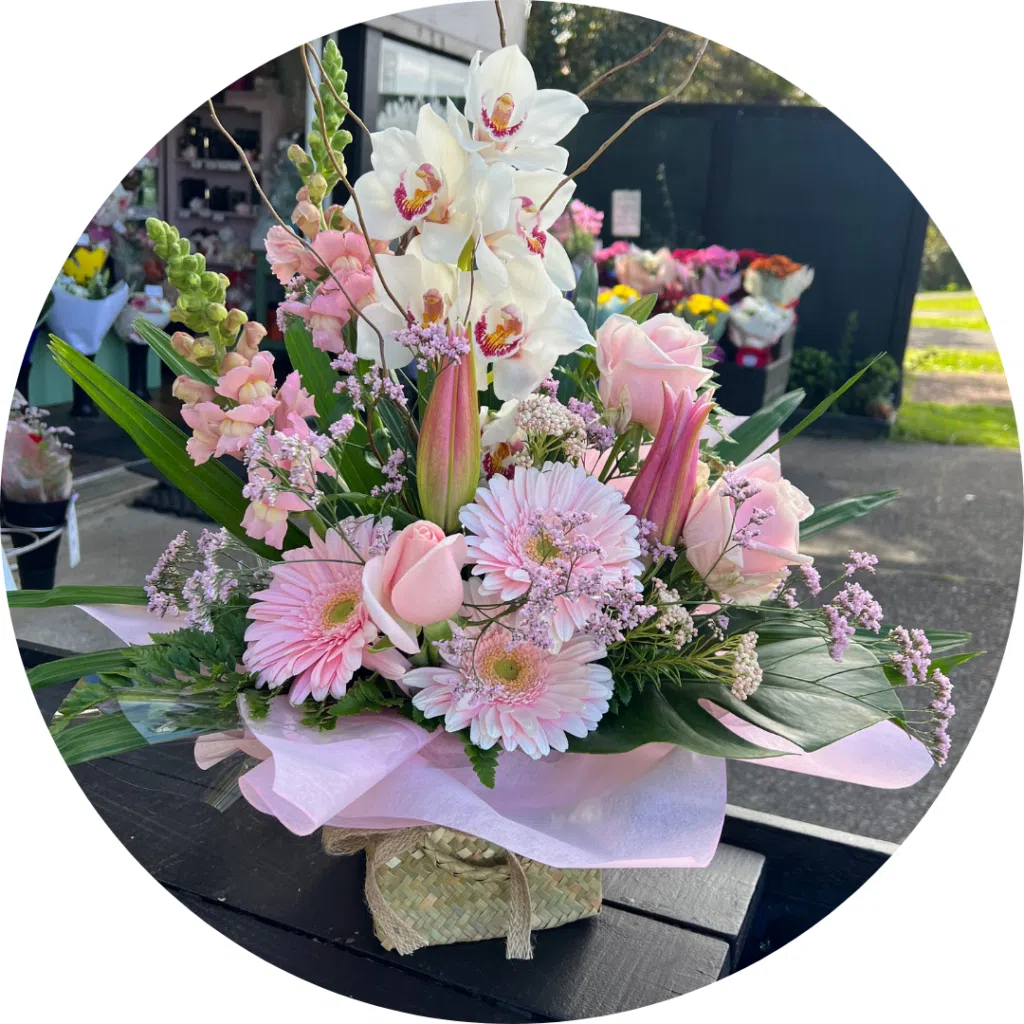 insta fascebook website post size