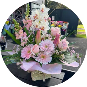 insta fascebook website post size