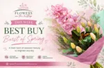 Burst of Spring Colour - Image 2