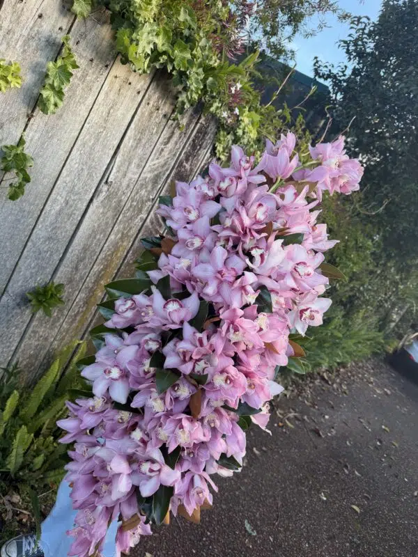 Orchid Casket Spray - Image 1