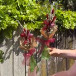 Christmas Dried flowers - Image 2
